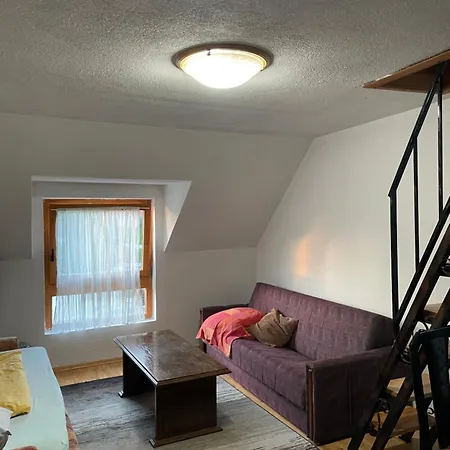 Damir Vlasic Apartamento